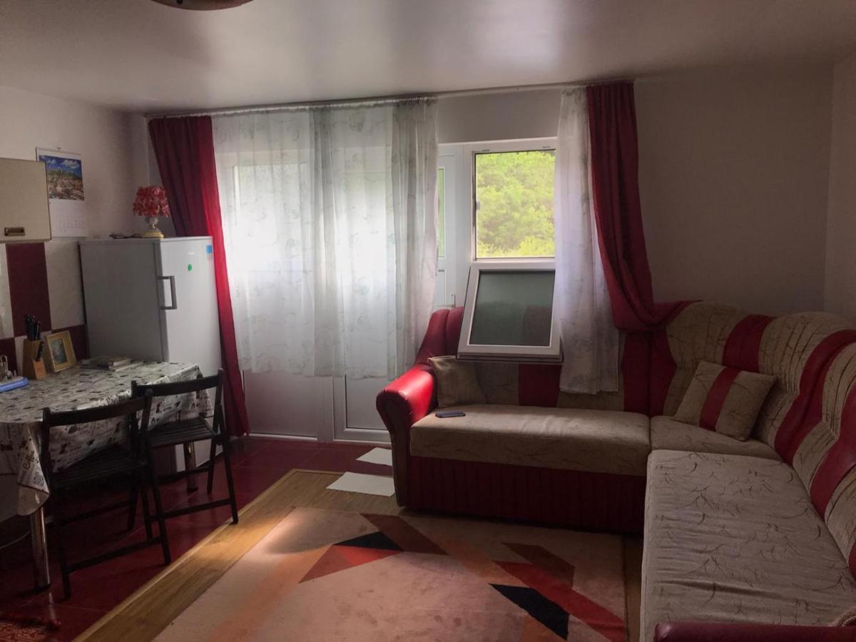 Garsoniera Lazaroiu Apartment ไบเล โกโวรา ภายนอก รูปภาพ