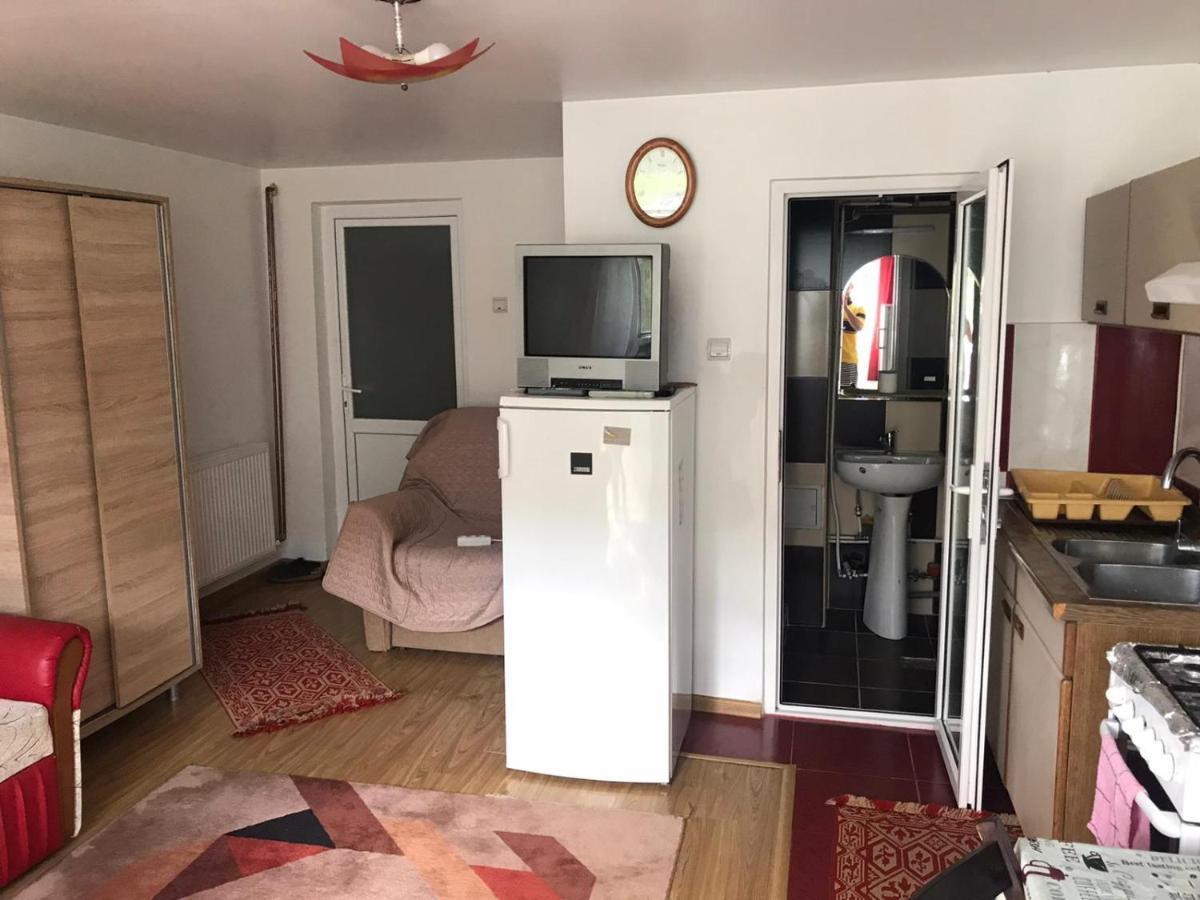 Garsoniera Lazaroiu Apartment ไบเล โกโวรา ภายนอก รูปภาพ